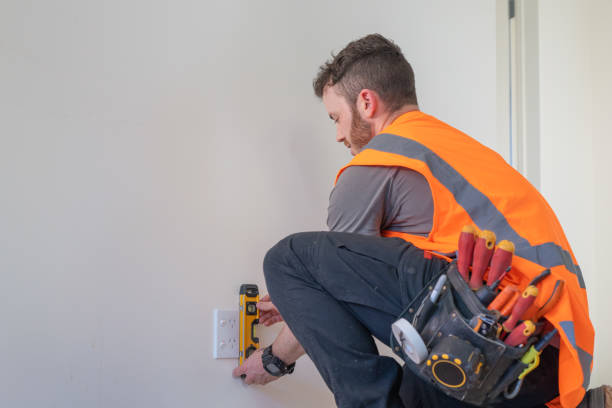 Best Electric Panel Repair  in Chilhowie, VA